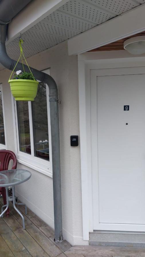 Ferienwohnung Am Stadtwald Freiberg Esterno foto