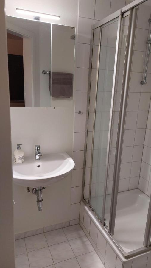 Ferienwohnung Am Stadtwald Freiberg Esterno foto